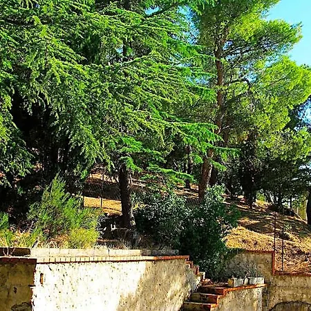 La Casa Di Boz לינה וארוחת בוקר 3*